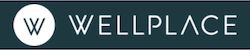 Client professionnel Wellplace (13)